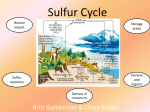 Sulfur Cycle - Walshearthsciences