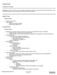 Protein (Urine) Interpretive Summary