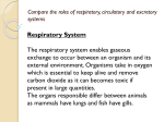 Compare the roles of respiratory, circulatory and excretory systems