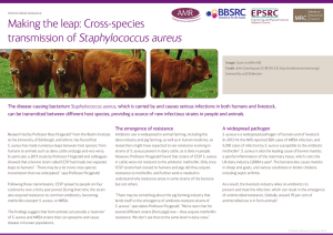 Making the leap: Cross-species transmission of