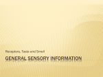 General Sensory Information