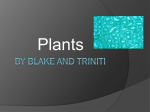 Plant parts