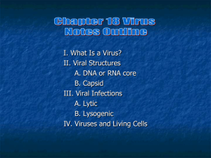 I. What is a virus?