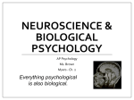 Neuroscience and Biopsychology