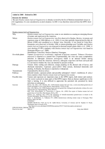 Sinaloa tomato leaf curl begomovirus