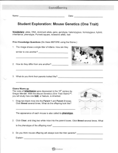 Student Exploration: Mouse Genetics (One Trait)