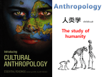 Anthropology