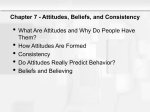 Attitudes, Beliefs
