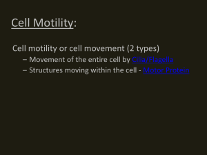 Cell Motility - Cochran`s Half Acre