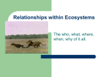 Interspecies Relationships PPT
