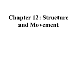 Chapter: 6 Structure and Movement Section 1: The Skeletal System