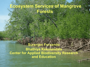 Ecosystem Services of Mangrove Forests