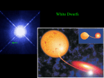 white dwarf supernova