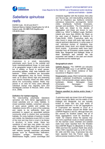 Sabellaria spinulosa reefs - The Quality Status Report 2010