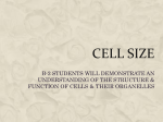 CELL SIZE
