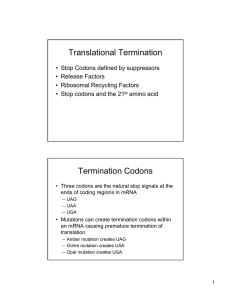 Translational Termination