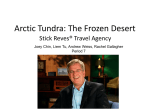 Arctic Tundra: The Frozen Desert
