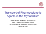 Transport of Pharmocokinetic Agents in the Myocardium
