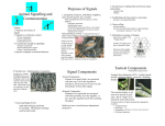 Animal Signalling and Communication Purposes of Signals Signal