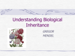 Understanding Biological Inheritance