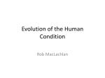 Evolution of the Human Condition