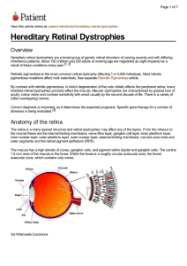 Hereditary Retinal Dystrophies