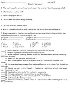 Digestion Worksheet