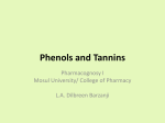 Phenols and Tannins