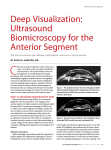 Deep Visualization: ultrasound Biomicroscopy for