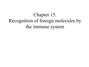 Chapter 15. Recognition of foreign molecules by the immune system