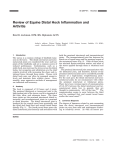 Review of Equine Distal Hock Inflammation and Arthritis