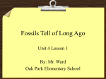 Fossils Tell of Long Ago - Open Court Resources.com