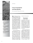 Cover Crop Species and Descriptions