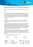 Whittlesea weed fact sheet * Gorse/Furze