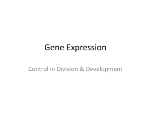 Chapter 11: Gene Expression