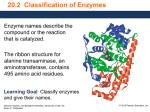 20.2 Classification of Enzymes