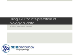 go-interpretation-analysis-2014