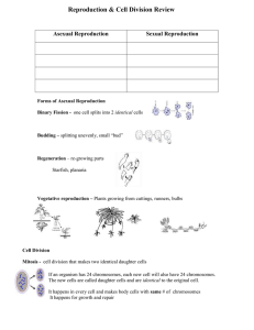 Asexual Reproduction