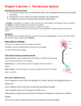 Ch. 6 Sec. 1: The Nervous System Notes