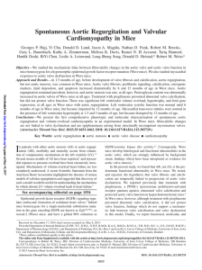 Spontaneous Aortic Regurgitation and Valvular Cardiomyopathy in