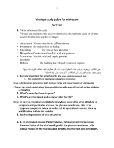 Virology study guide for mid