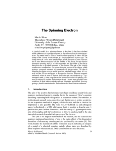 The Spinning Electron - University of the Basque Country