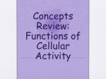 Concepts Review: Functions of Cellular Activity