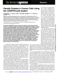 Genetic Screens in Human Cells Using the CRISPR