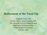 Refinement of the Nasal Tip