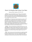 Hectic Life Reptiles Ball Python Care Sheet