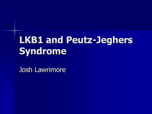 LKB1 and Peutz-Jeghers Syndrome