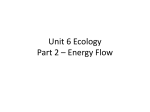 Unit 6 Ecology Part 2 - Energy Flow in a System