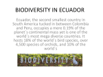 BIODIVERSITY IN ECUADOR