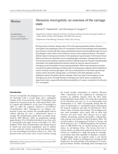 Neisseria meningitidis: an overview of the carriage state